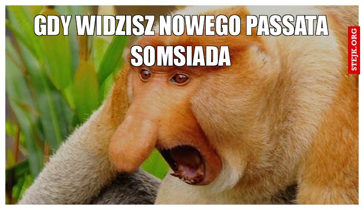 gdy widzisz nowego passata somsiada