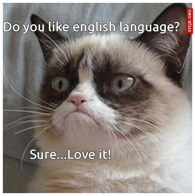 Do you like english language?