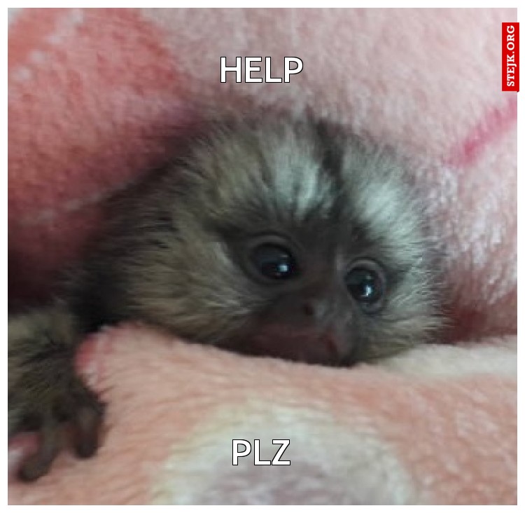 HELP