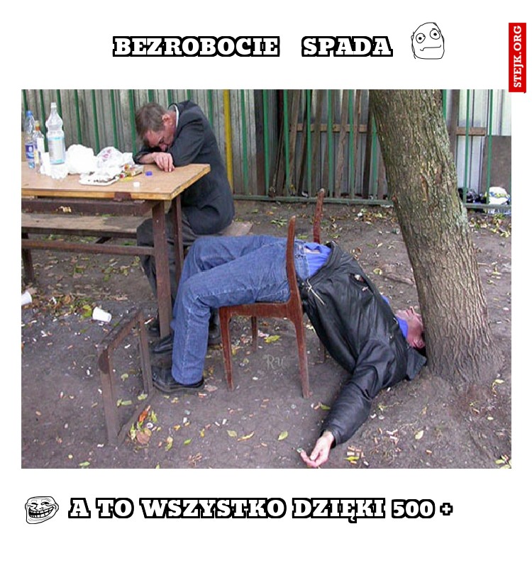 bezrobocie   spada
