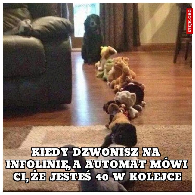 Kiedy dzwonisz na infolinię
