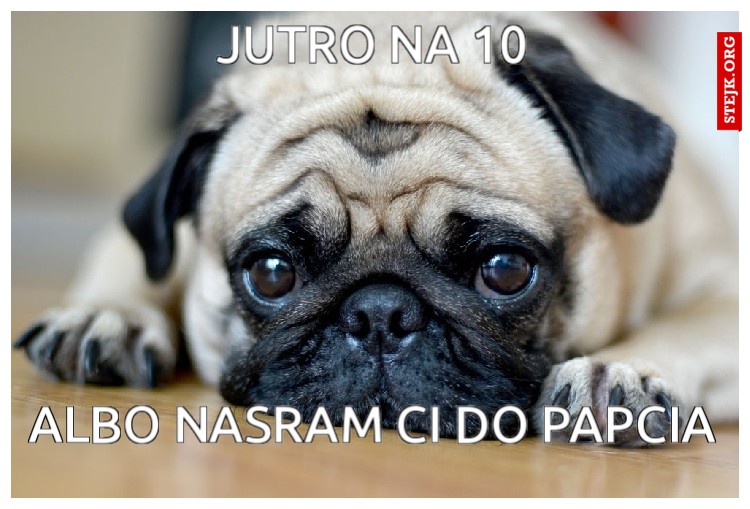 Jutro na 10