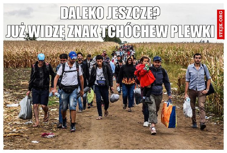 Daleko jeszcze?