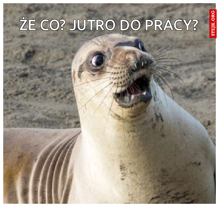 Że co? Jutro do pracy?