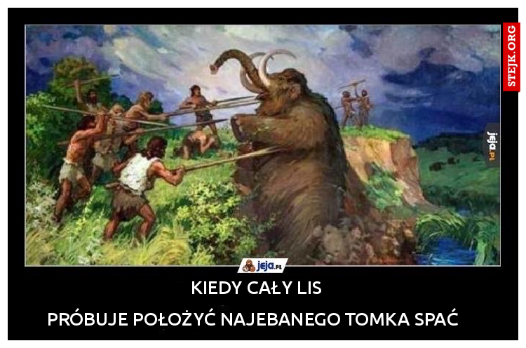 Kiedy cały LIS