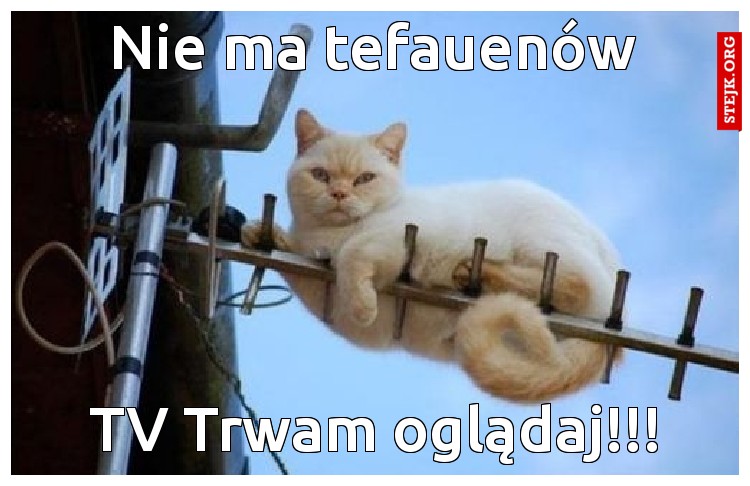 Nie ma tefauenów