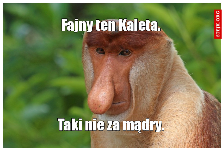 Fajny ten Kaleta.
