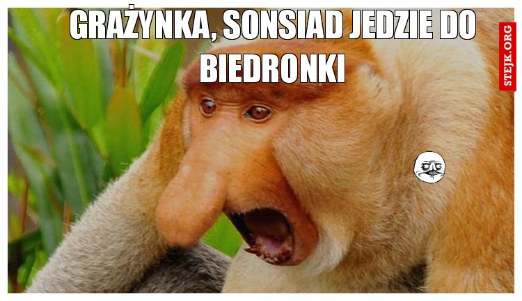 Grażynka, sonsiad jedzie do biedronki