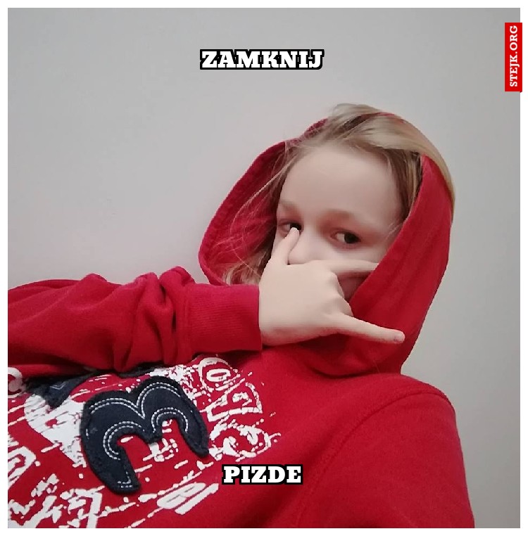 ZAMKNIJ
