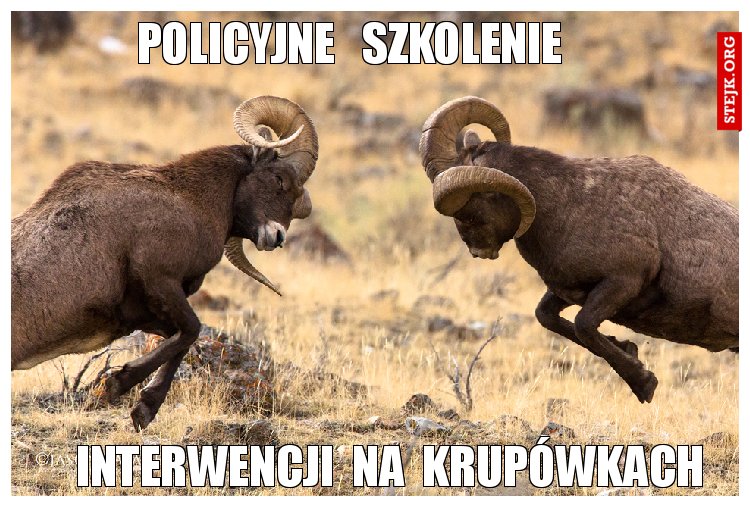 policyjne   szkolenie