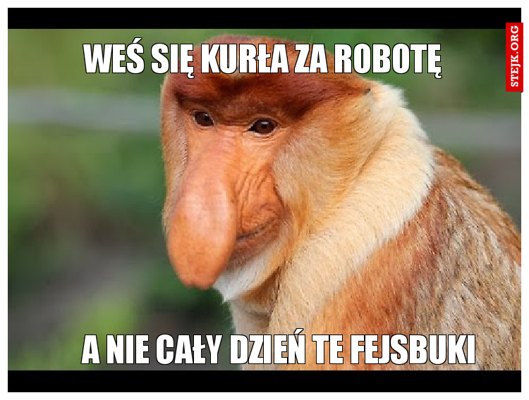 WEŚ SIĘ KURŁA ZA ROBOTE 
