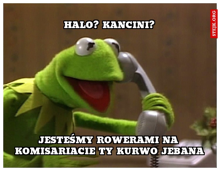 halo? kancini?