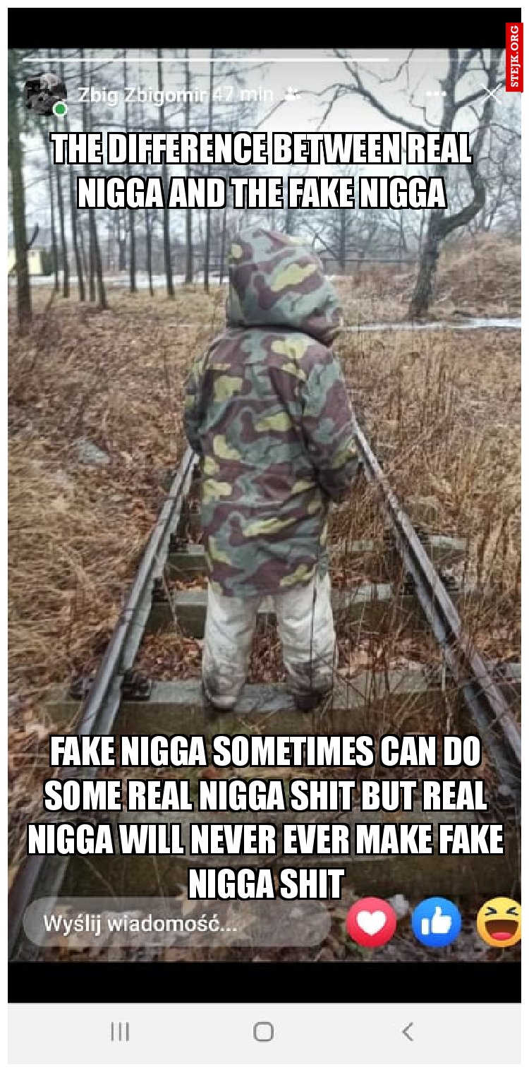 the difference between real nigga and the fake nigga