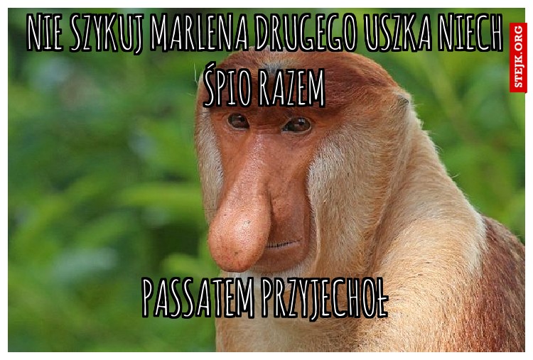 Nie szykuj Marlena drugego uszka niech śpio razem