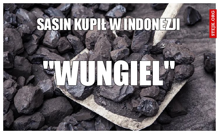 Sasin kupił w Indonezji