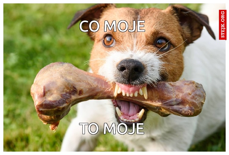 co moje 