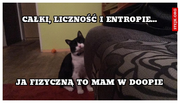 Całki, Liczność i Entropie...