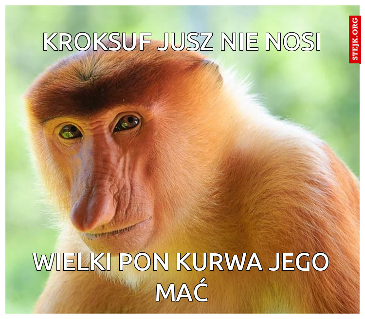 KROKSUF JUSZ NIE NOSI