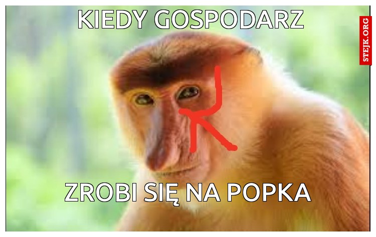 kiedy gospodarz
