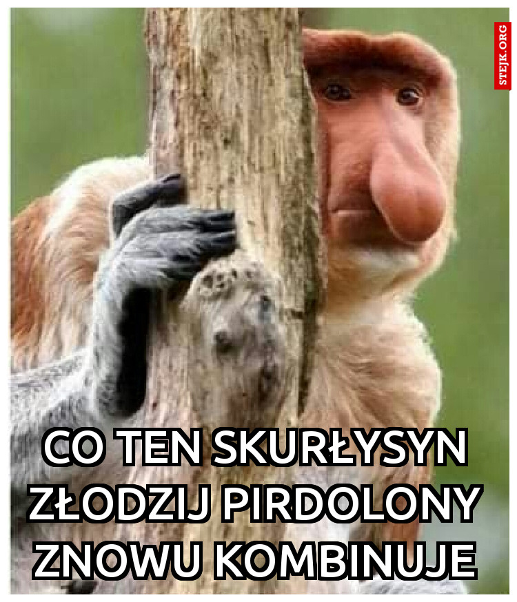 Co ten skurłysyn złodzij pirdolony znowu kombinuje