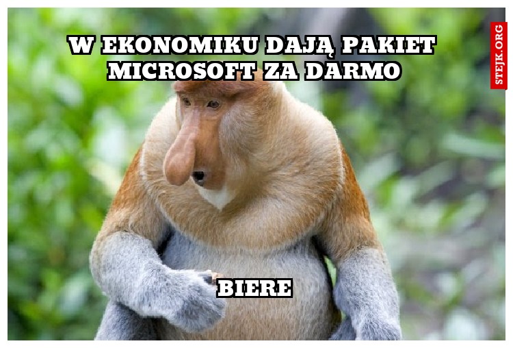 w ekonomiku dają pakiet microsoft za darmo