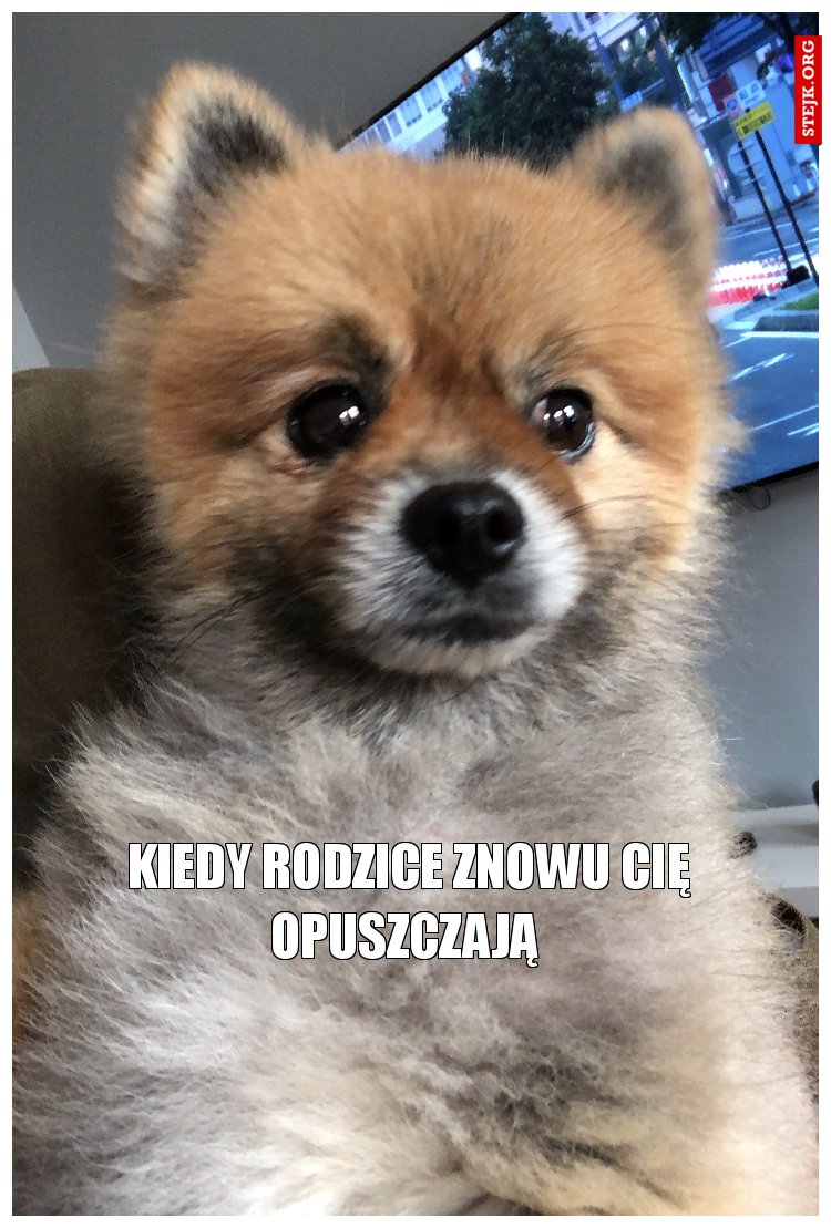 Kiedy rodzice znowu Cię opuszczają 