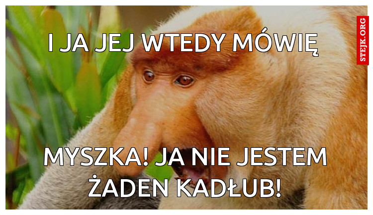 I JA JEJ WTEDY MÓWIĘ 