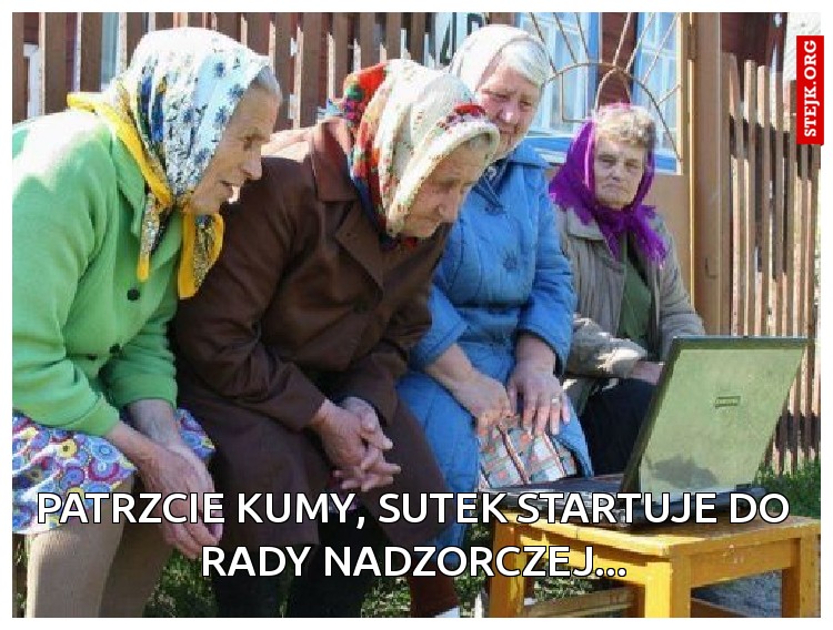 Patrzcie kumy, Sutek startuje do rady nadzorczej...