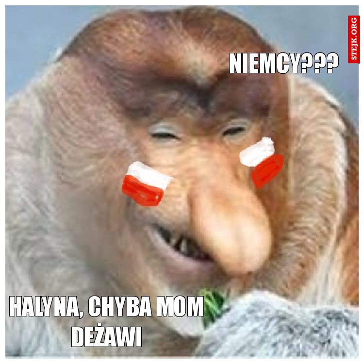 Niemcy???