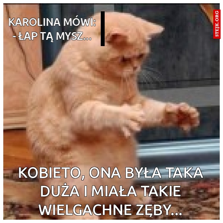 kobieto, ona była taka duża i miała takie wielgachne zęby...