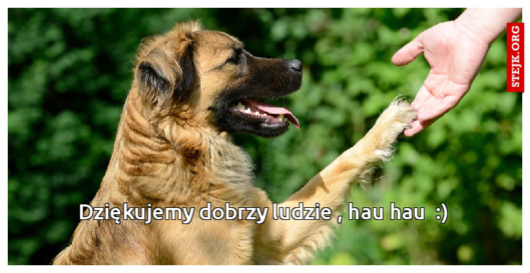 Dziękujemy dobrzy ludzie , hau hau  :)