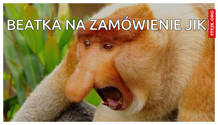 beatka na zamówienie jiki