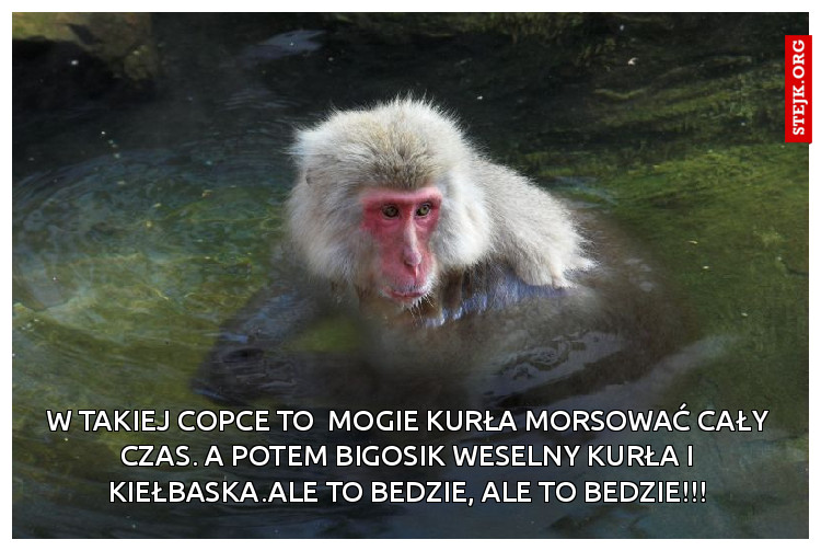 W takiej copce to  mogie kurła morsować cały czas. a potem bigosik weselny kurła i kiełbaska.Ale to bedzie, ale to bedzie!!!
