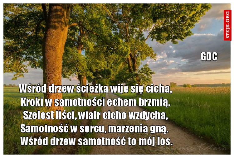 Wśród drzew ścieżka wije się cicha, Kroki w samotności echem brzmią. Szelest liści, wiatr cicho wzdycha, Samotność w sercu, marzenia gną. 