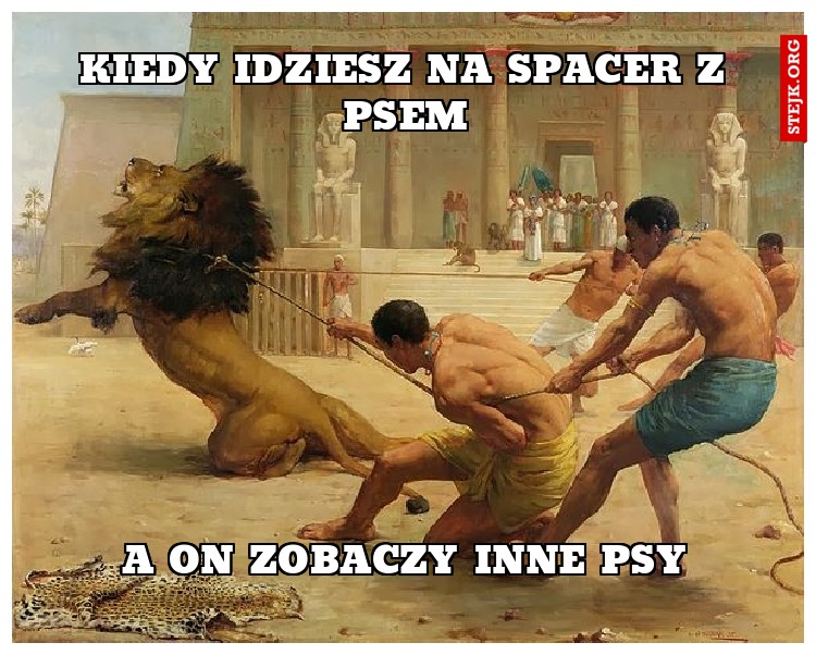 Kiedy idziesz na spacer z psem