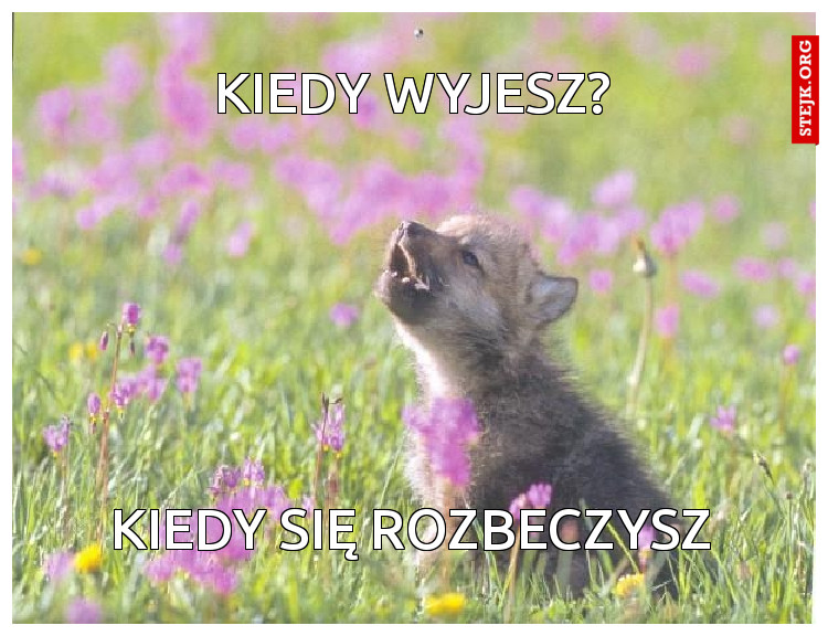 Kiedy wyjesz?