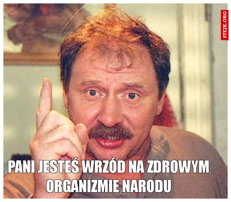 Pani jesteś wrzód na zdrowym organizmie narodu