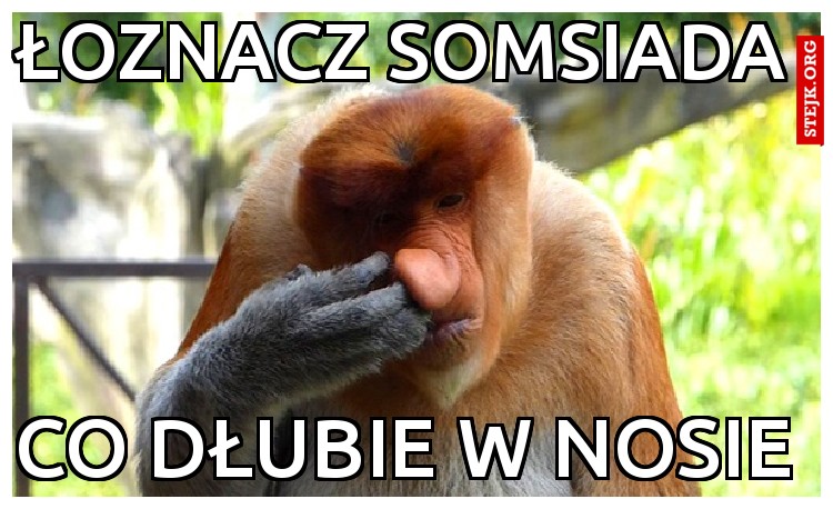 łoznacz somsiada
