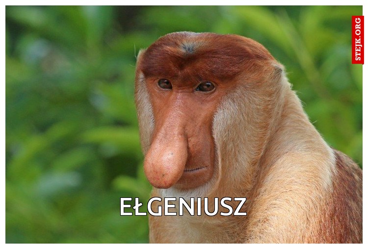 Na tczo, na czo , na... proszę nic nie jeść