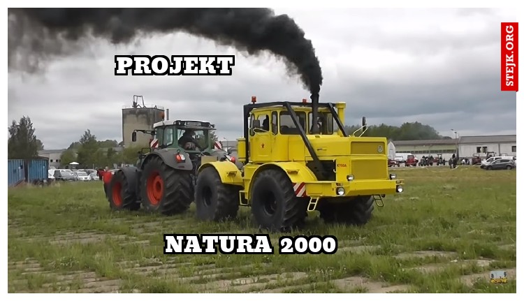 Projekt