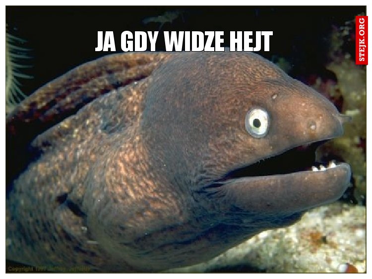 JA gdy widze hejt