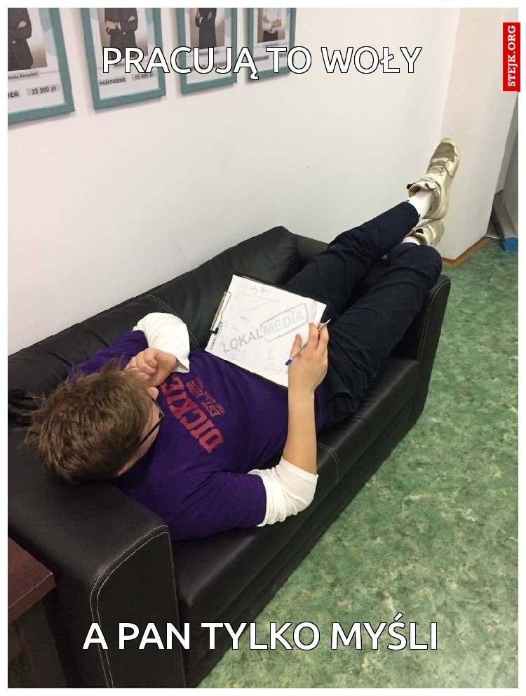 Pracują to woły