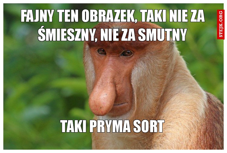 FAJNY TEN OBRAZEK, TAKI NIE ZA ŚMIESZNY, NIE ZA SMUTNY