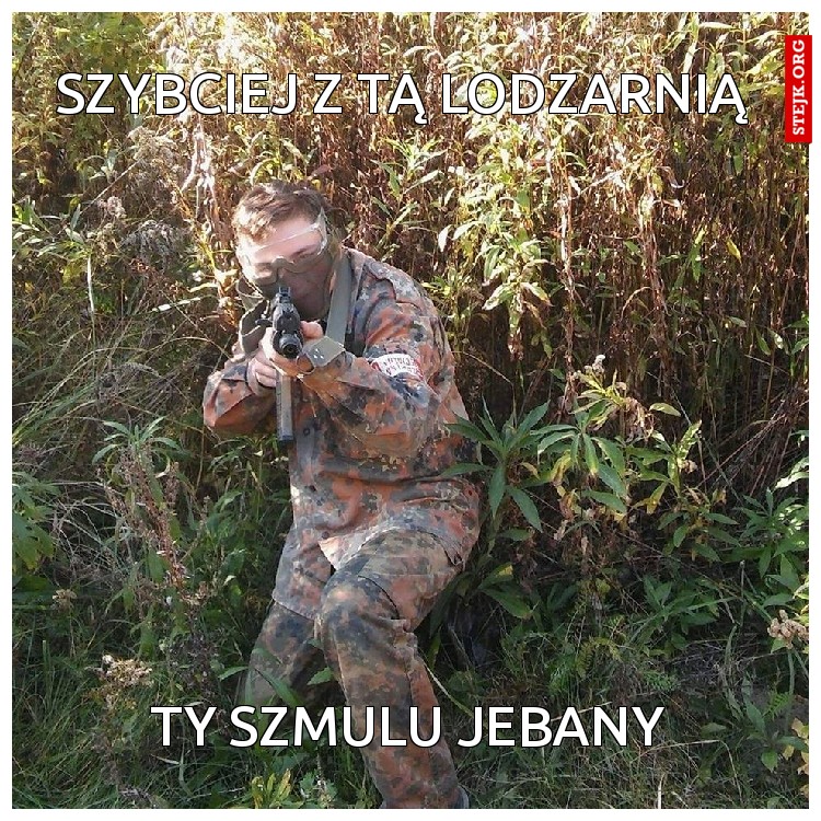 Szybciej z tą lodzarnią 
