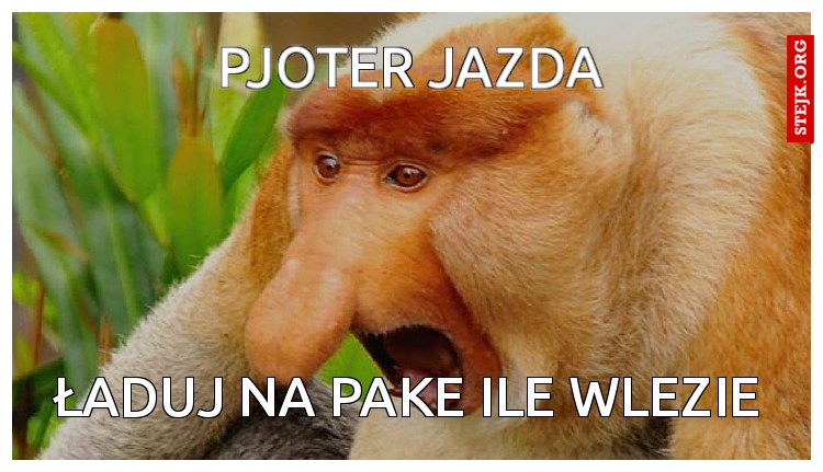PJoter WYskakuj 