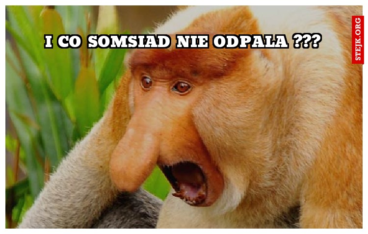 i co somsiad nie odpala ???