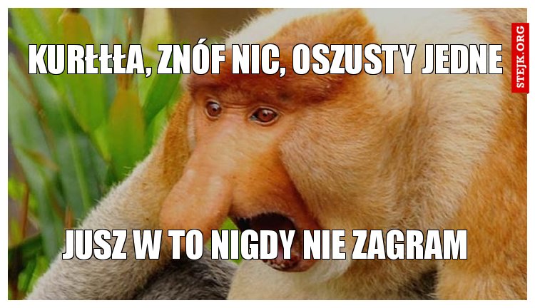 Kurłłła, znóf nic, oszusty jedne
