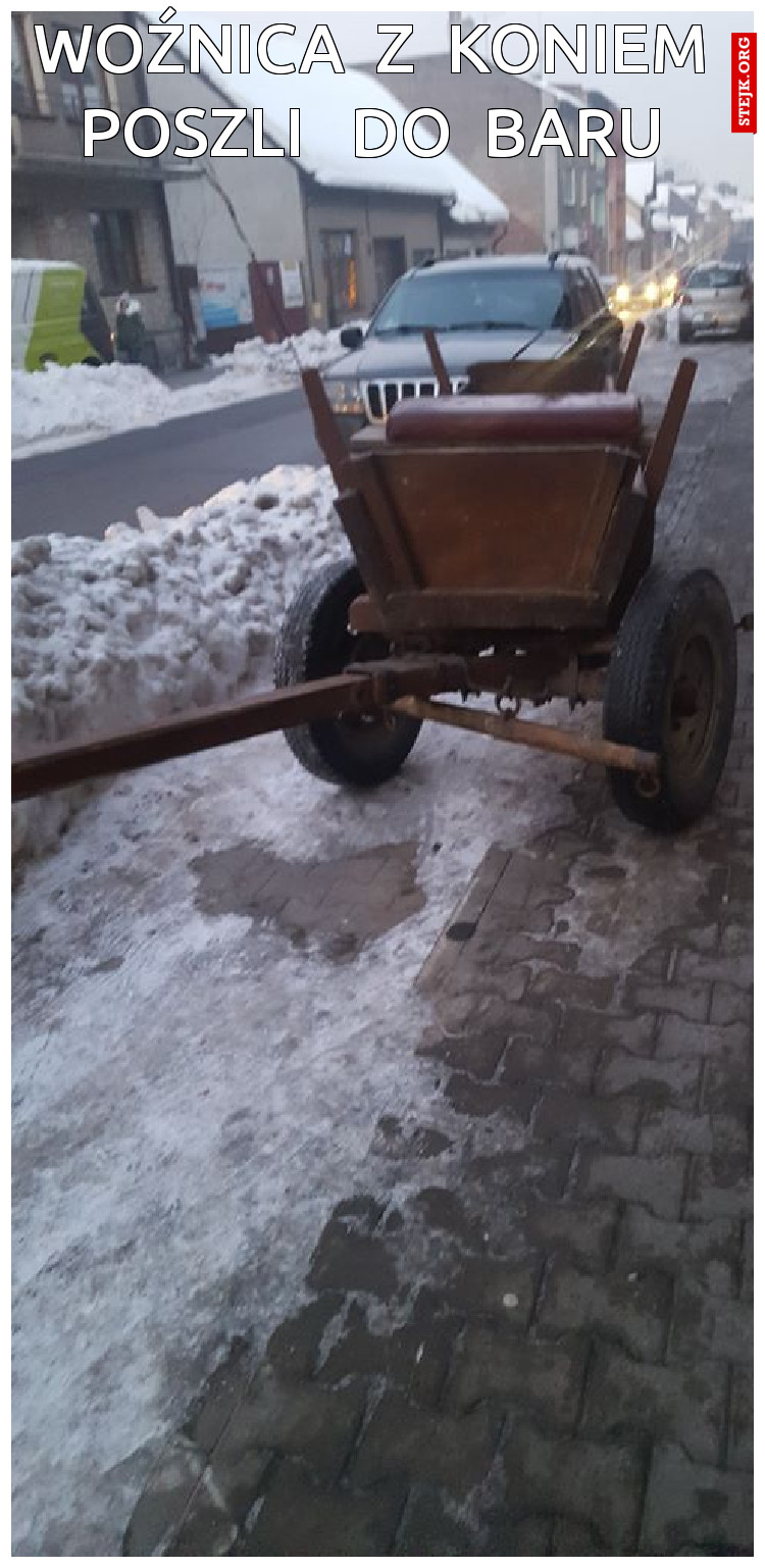 woźnica  z  koniem poszli   do  baru