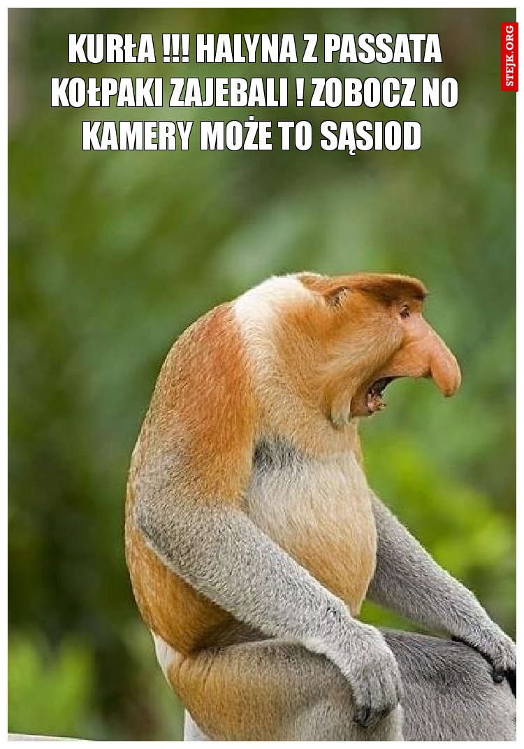 KURŁA !!! HALYNA Z PASSATA KOŁPAKI ZAJEBALI ! ZOBOCZ NO KAMERY MOŻE TO SĄSIOD 