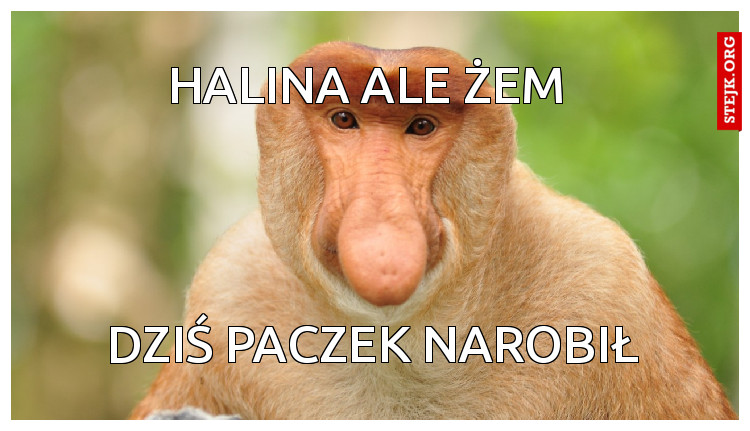Halina ale żem 